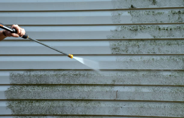 Best Dumpster Area Cleaning  in Flanders, NY